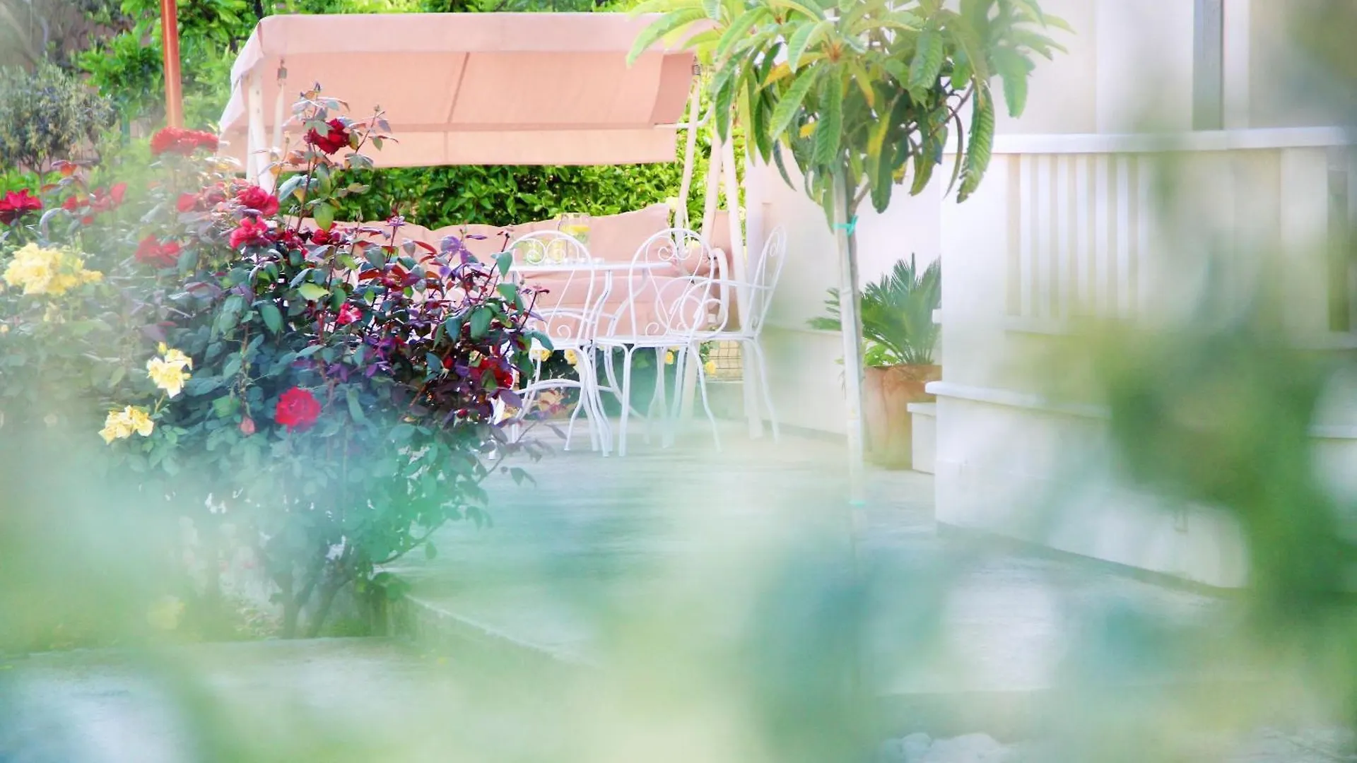 Apartments Kiwi Trogir 0*,